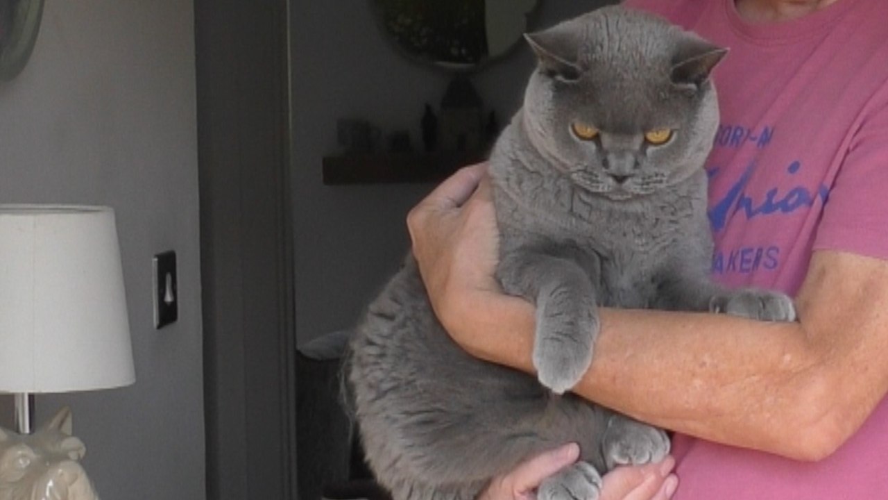 Cliffe Woods residents facing pet ban because of environmental concerns