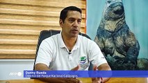 Iguanas se reproducen en isla de Galápagos de donde desaparecieron hace un siglo