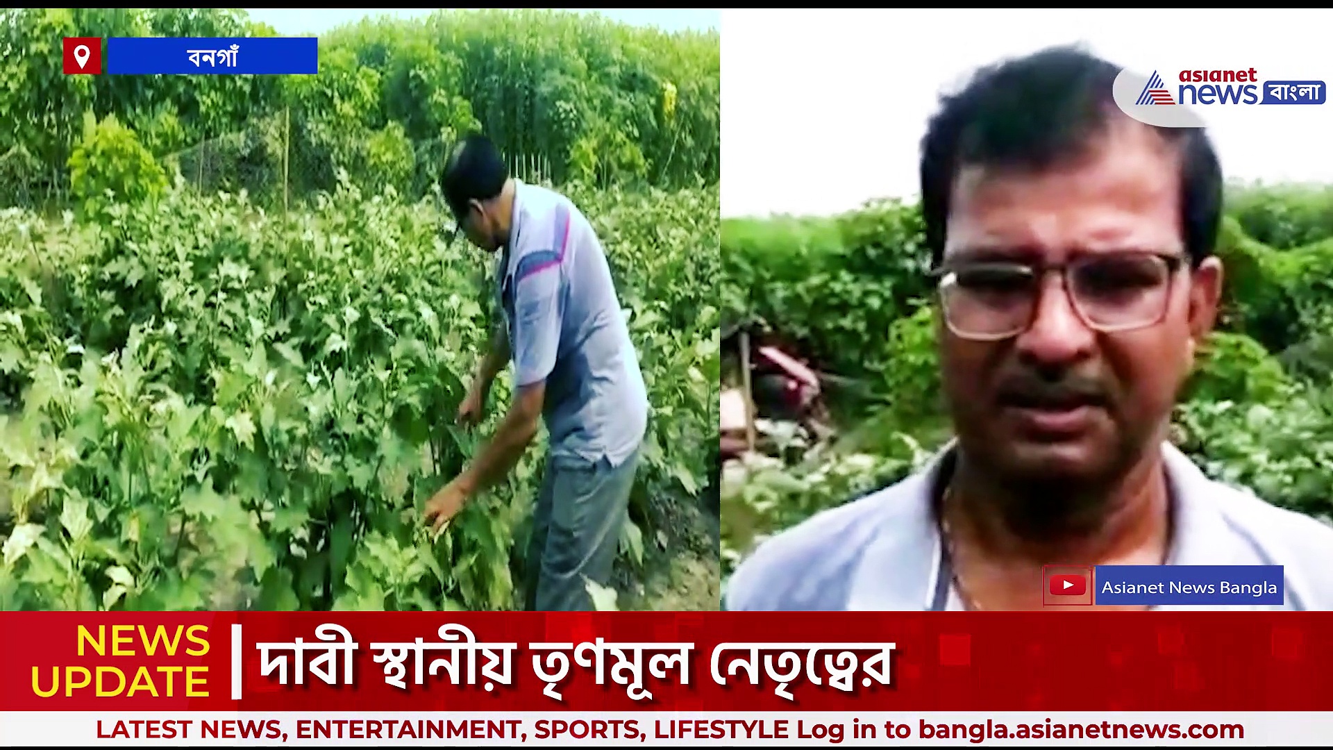 বিজেপি জেলা সভাপতির জমির ফসল নষ্টের অভিযোগ, একবিঘা বেগুন ক্ষেতে বিষ ছড়িয়ে দেওয়ার অভিযোগ