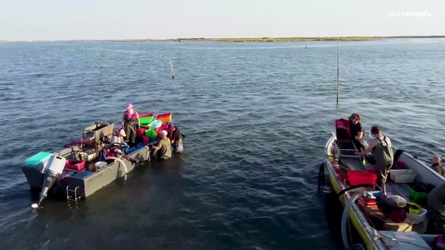 Delta del Po: siccità e caldo mettono in pericolo l'allevamento di vongole