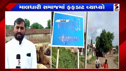 ગુજરાતમાં જામ્યો વરસાદી માહોલ| માલધારી સમાજમાં ફફડાટ ફેલાયો