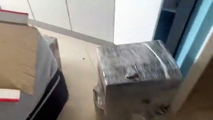 perro que cuidaba a delincuentes se rinde en operativo antidrogas