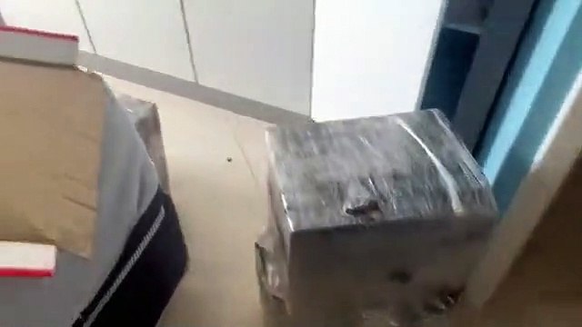 perro que cuidaba a delincuentes se rinde en operativo antidrogas