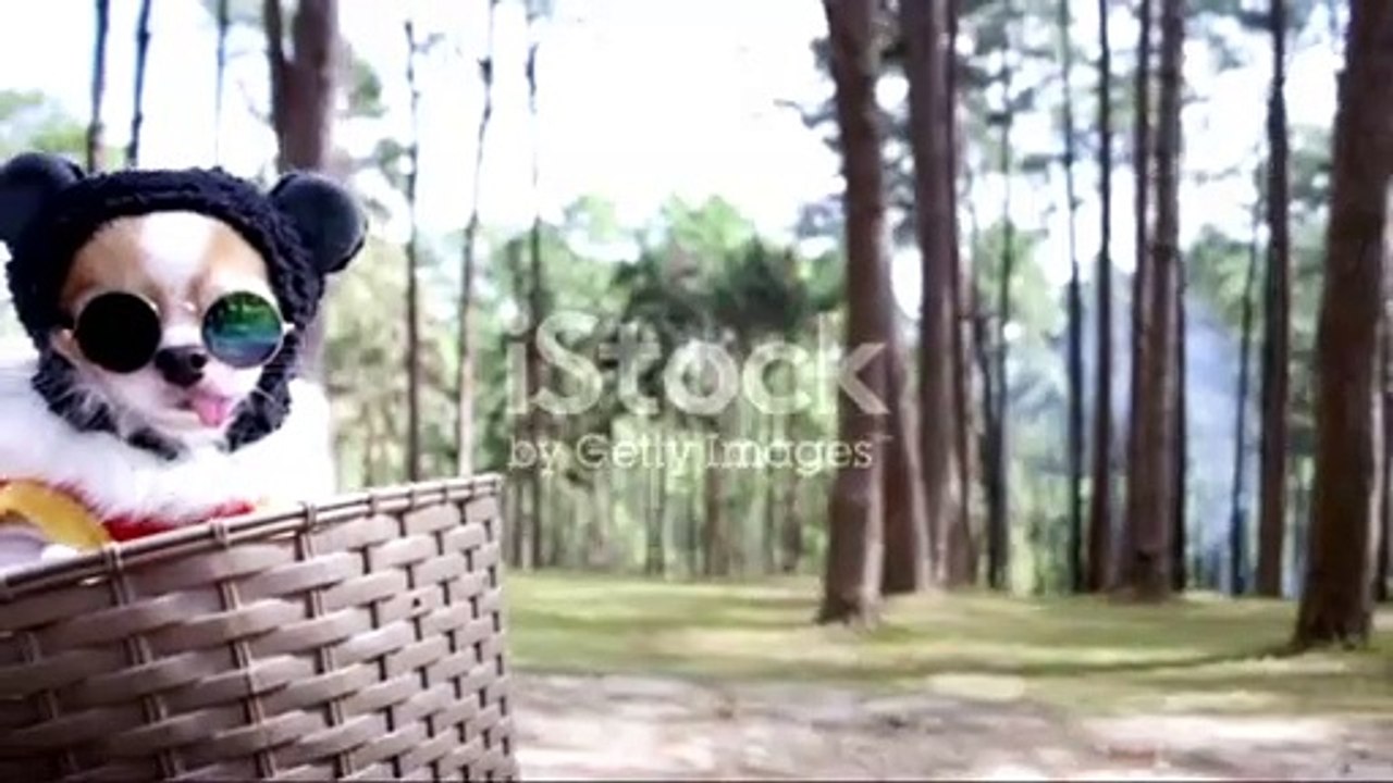 It feels so nice to ride a bicycle