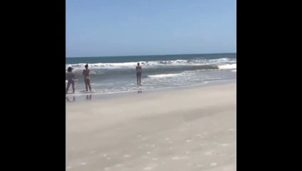 ¡Fuera del agua!: video muestra a tiburones nadando cerca de niños en Florida