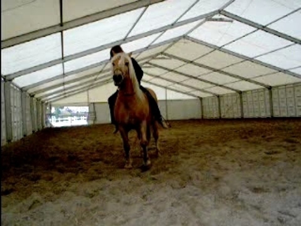 Dudus 023