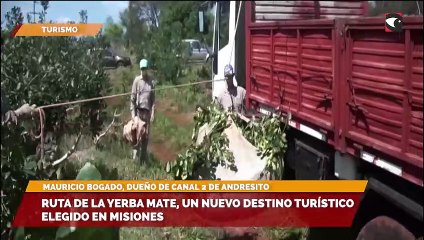 Ruta de la Yerba mate, un nuevo destino turístico elegido en Misiones