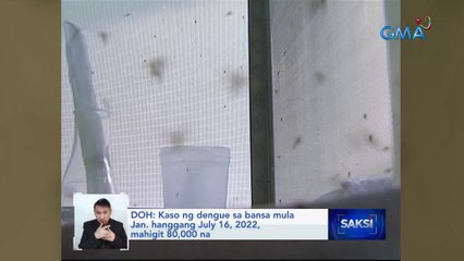 DOH: Kaso ng dengue sa bansa mula Jan. hanggang July 16, 2022, mahigit 80,000 na | Saksi