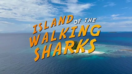 ‘Tiburones caminando’ capturados en video, asombran a los científicos