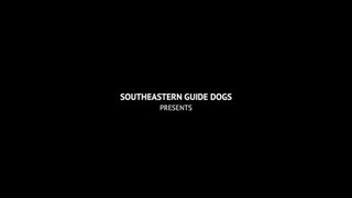 Pip_|_A_Short_Animated_Film_by_Southeastern_Guide_Dogs(480p)