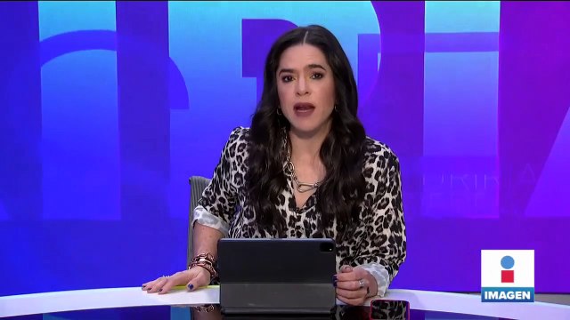 Suman 88 felinos reubicados de la fundación Black Jaguar-White Tiger