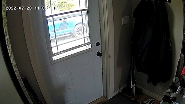 Baby Squirrel Sneaks into House and Jumps on Girl