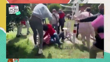 Investigaban homicidio y encontraron un tigre de bengala - Almohadazo Casero