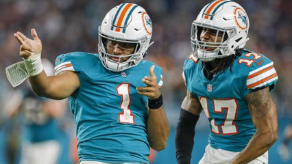 The Dolphins Tampering Is Being Blown Out Of Proportion