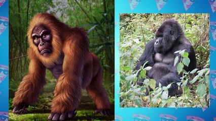 This is Why Gigantopithecus is 100 Times More Dangerous Than Gorilla