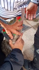 We Didn't Know She Was Suffocating