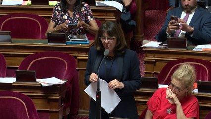 Nathalie Goulet (UDI) : "La carte vitale biométrique peut être le pire et le meilleur."