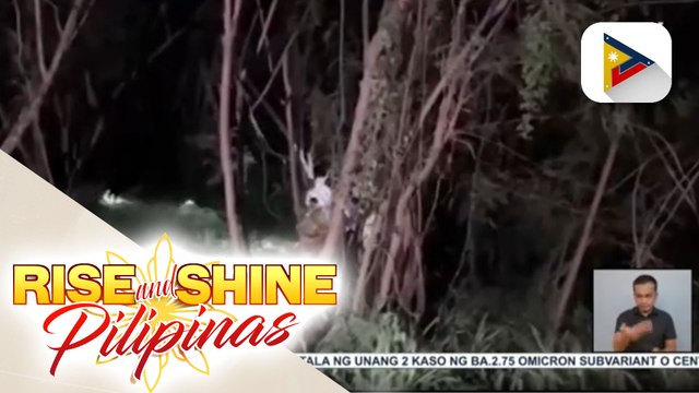 Babae, natagpuang walang buhay sa isang masukal na lugar sa Muntinlupa; Biktima, nakatawag pa sa kaibigan upang humingi ng tulong