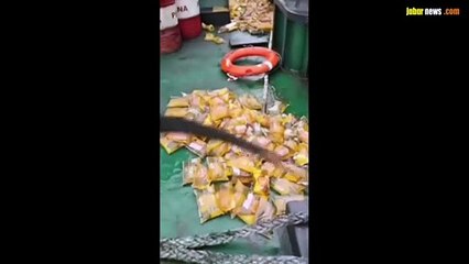 Ratusan minyak goreng kemasan tumpah ruah di tengah laut.