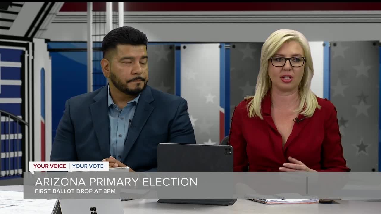 Political experts weigh in on what's driving Republican and Democrat voters this election