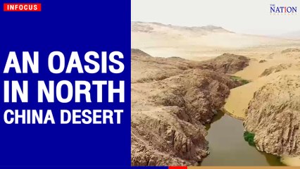 An oasis in north China desert | The Nation