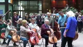 Beethoven Flash Mob - Wayzata Symphony Orchestra and Edina Chorale - Minneapolis