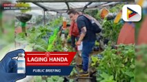 Organic garden sa Baguio City, dinarayo ng mga turista