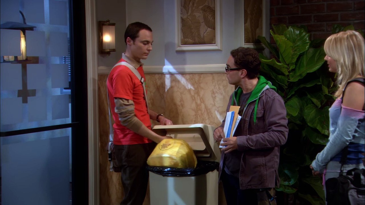 If cats could sing, they'd hate it too - The Big Bang Theory