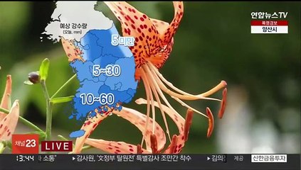 Download Video: [날씨] 곳곳 강한 비…폭염특보 확대·강화, 남부 폭염경보