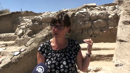 Niğde'de höyükteki kazıda Pers dönemine ait alçı surlar bulundu