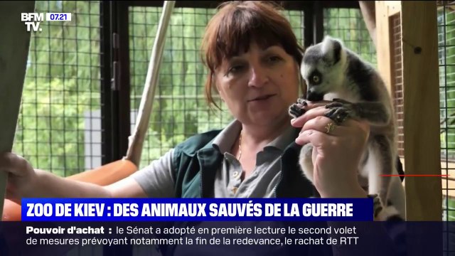 Ukraine: les animaux du zoo de Kiev sauvés de la guerre