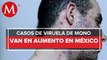 México suma 91 casos de viruela del mono: Ssa; sin reporte de muertes