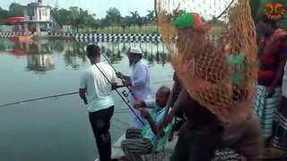 Unbelievable Fishing From Hook By Village Pond Hook Fishing Video In 2022