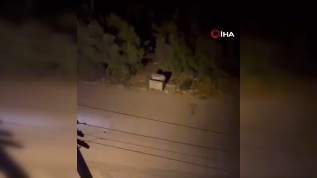 Son dakika gündem: Polis şehir merkezine inen domuzu sirenle kovaladı