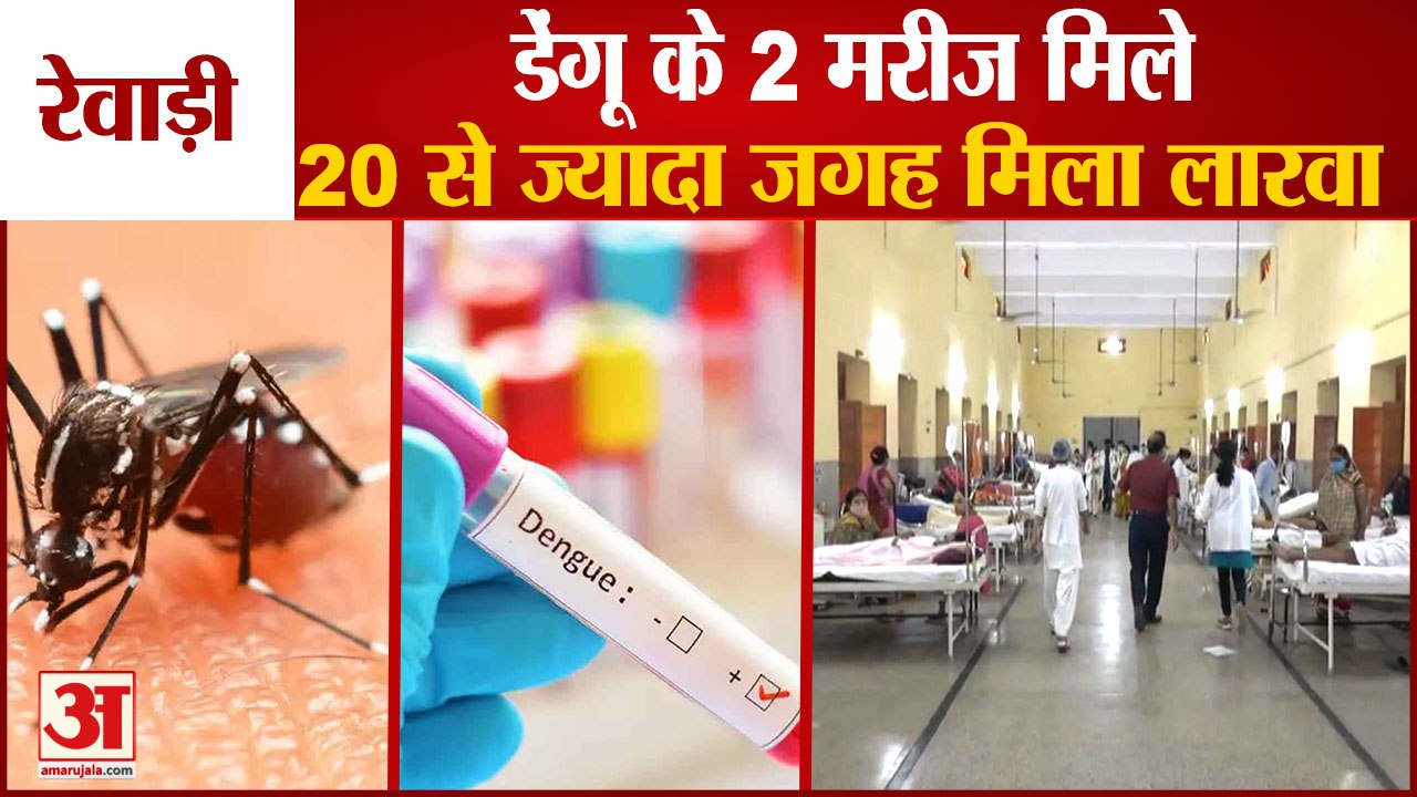 2 Patients Of Dengue And Malaria Found In Rewari|रेवाड़ी में डेंगू और मलेरिया के 2 मरीज मिले|Haryana