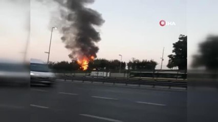 Son dakika haber: Edirnekapı'da ağaçlık alanda yangın