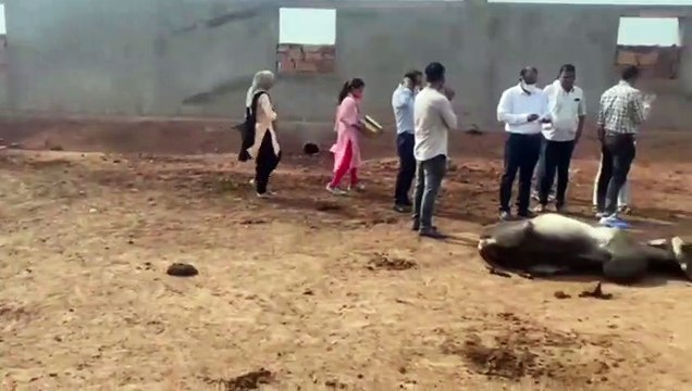 नागौर पहुंची केन्द्र सरकार के विशेषज्ञों की टीम