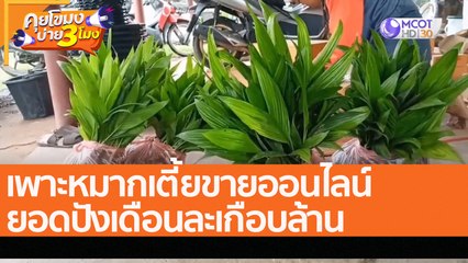 เพาะหมากเตี้ยขายออนไลน์ ยอดปังเดือนละเกือบล้าน (28 ก.ค. 65) คุยโขมงบ่าย 3 โมง