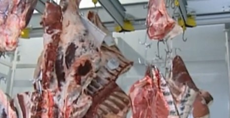 Incassava contributi Covid ed evadeva imposte: denunciato imprenditore campano a Livorno (03.08.22)