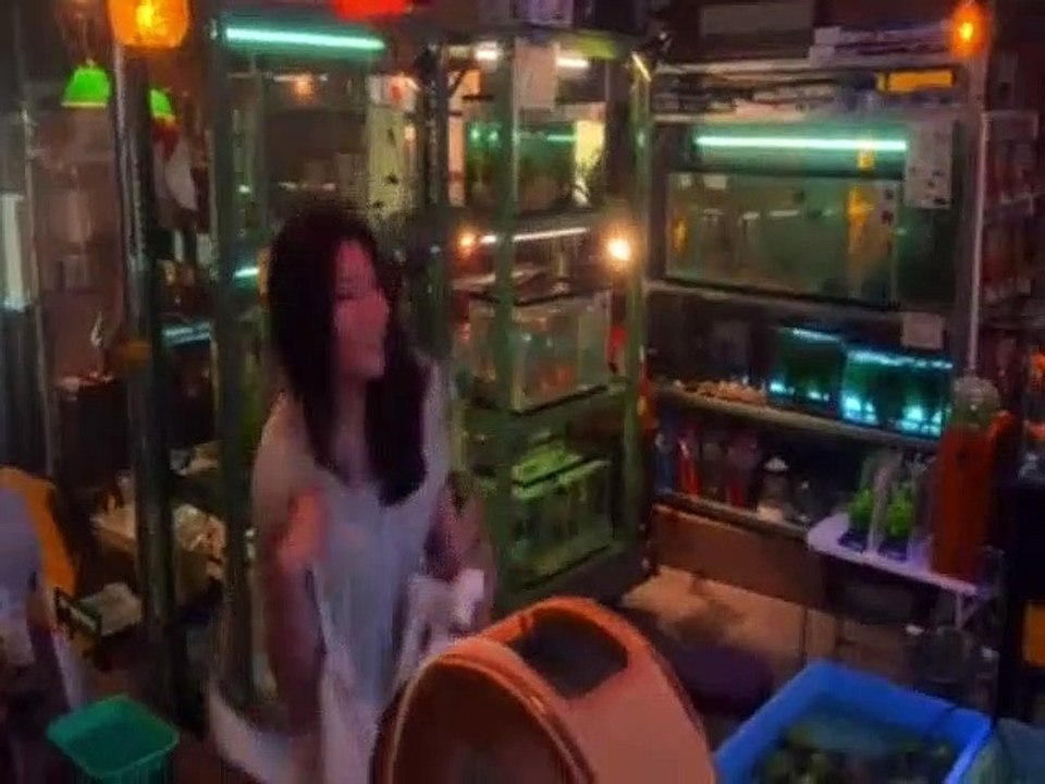 Fishbowl Wives S01E01 The Fishbowl Wife video Dailymotion