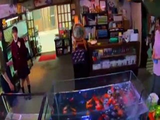 Fishbowl Wives - S01E03 The Lunchbox Wife