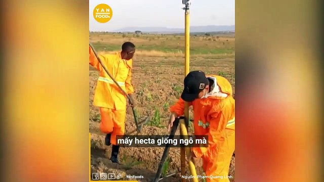 Quang Linh Vlog mua 14ha đất hoang cải tạo làm nông trại tại Angola