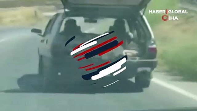 Tehlikeli yolculuk kamerada: İneği otomobilin bagajına koydular!