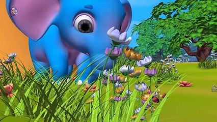 A Fat Elephant Story | Hindi Moral Stories for Kids | JOJO TV Kids Hindi Fairy Tales