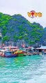 Vịnh Lan Hạ được đánh giá là điểm đến đẹp nhất Việt Nam