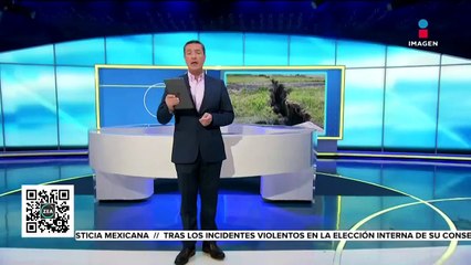 Se abre grieta de 300 metros de largo en el municipio de Chalco