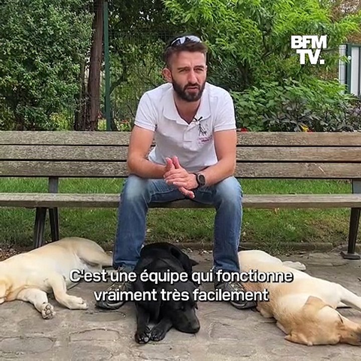 "Ça change totalement la vie", les chiens guides à la rescousse des personnes malvoyantes