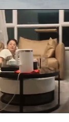 Baby Cats - Cute and Funny Cat Videos Compilation #27