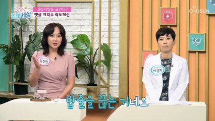 내장지방 조직의 지방 분해를 촉진하는 「락토페린」 TV CHOSUN 220803 방송