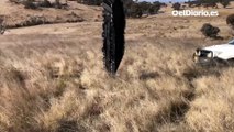 Del espacio a una granja de Australia: dos pastores encuentran basura espacial de una misión de Space X